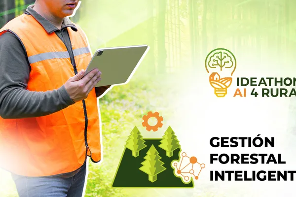 Smart Forest Management: Connecting the Ecological Value of Forests with the Local Economy
