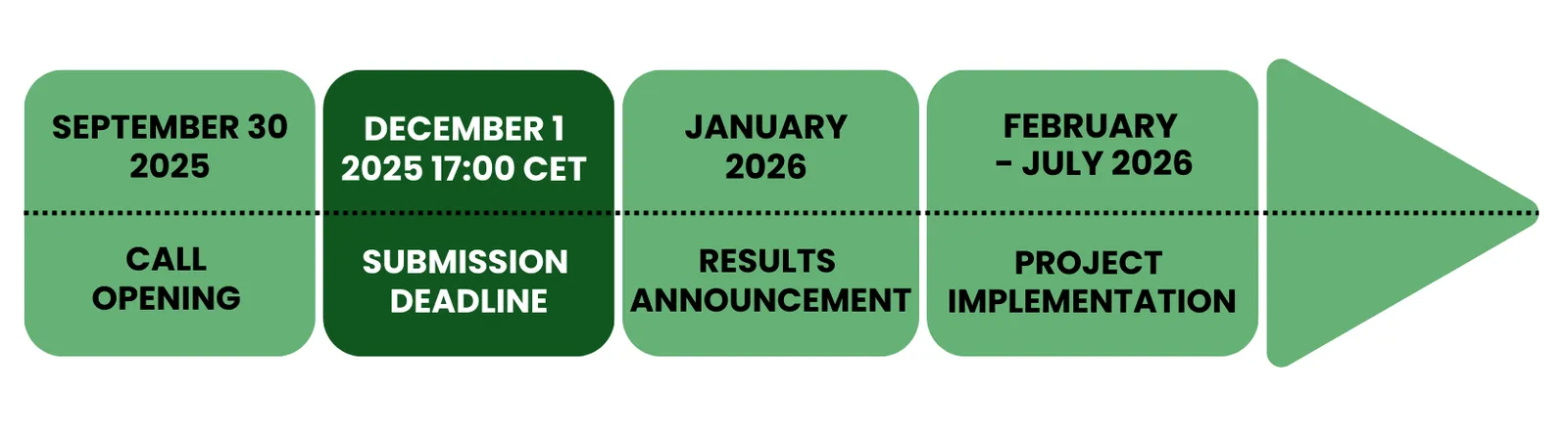Mobilise Project Timeline ENHANCE (1)