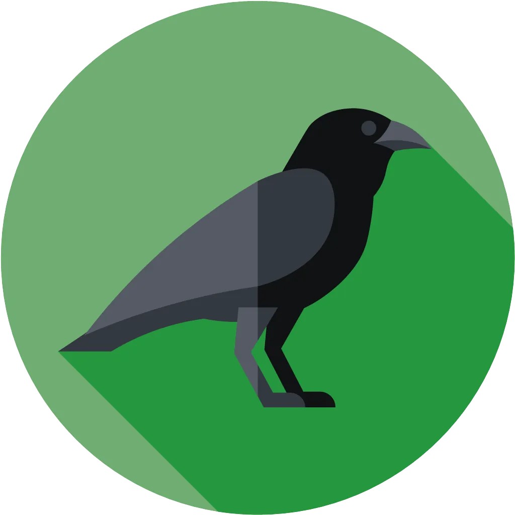 jackdaw